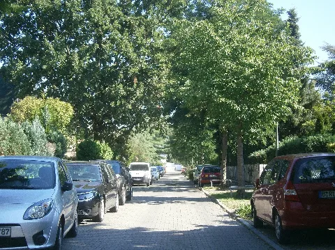 Bornaer Straße