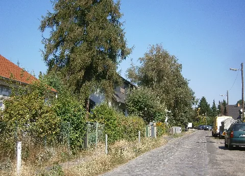 Neukölln Rudow Lauchstädter Weg P8250034 (30)