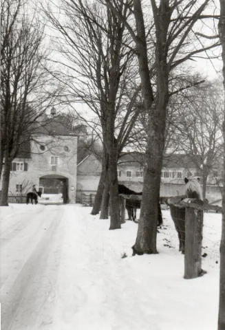 Eichenstraße