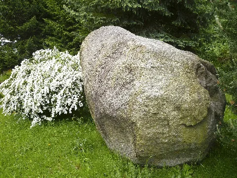 Findling in Niedersteinbach; Größte Findling im Großraum Chemnitz in Niedersteinbach, einem Ortsteil von Penig an der Grenze zwischen Sachsen und Thüringen. Gewicht 32t.
