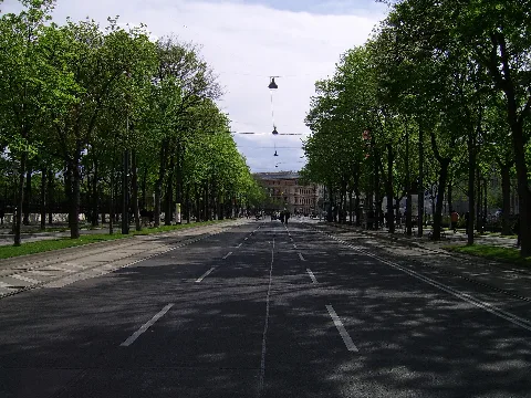 No Cars Allowed Today Panoramio