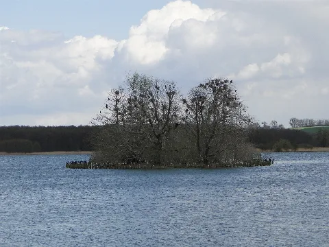 Nonnenhof 08