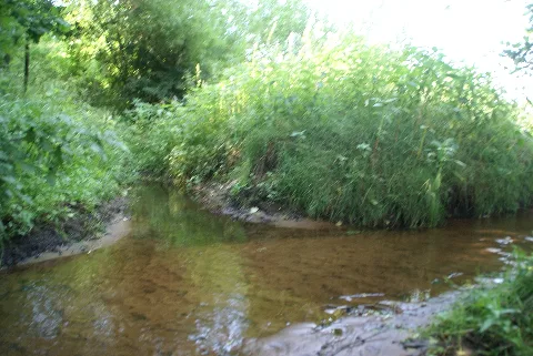 Norderstedt Tarpenbek Ost West