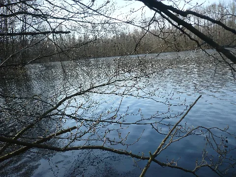 Nordfeldweiher2