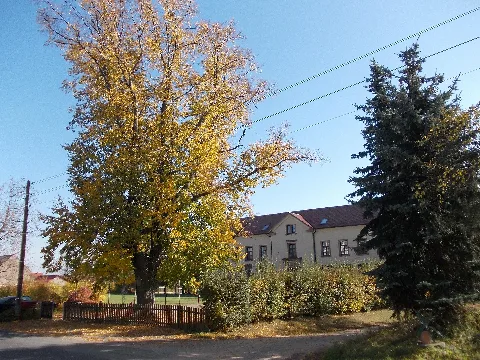Noßwitzhauptstr37