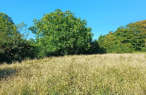 Nsg Bennebusch (1)