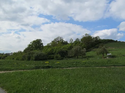 Nsg Bleidenberg Bei Niederbrechen, 3, Niederbrechen, Brechen, Landkreis Limburg Weilburg