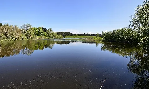 Nsg Bw Rv 4216 Staudacher Weiher 07.05.2015 Nl1