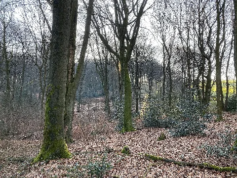 Nsg En 015 Oberes Felderbachtal (1)