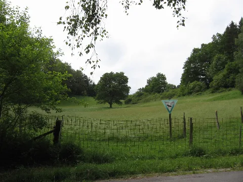 Nsg Faules Siepen