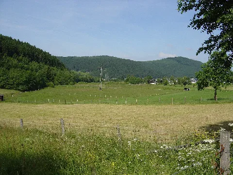 Nsg Hillebachtal Ws