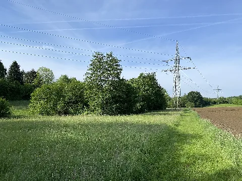Nsg Hohenhagener Bachtal (19)
