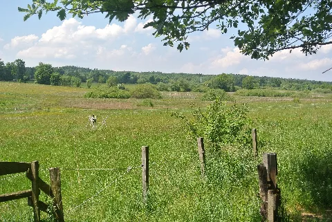 Nsg Lenzbachtal