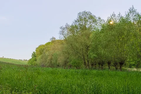 Nsg Mh 018 Zinsbachtal Mülheim An Der Ruhr 03