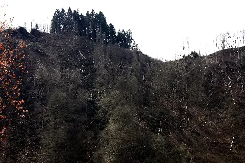 Nsg Mk 008 Eschmecke Hückenstein In Werdohl