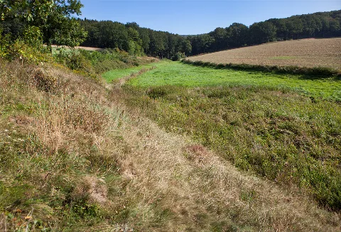 Nsg Plögereisiek