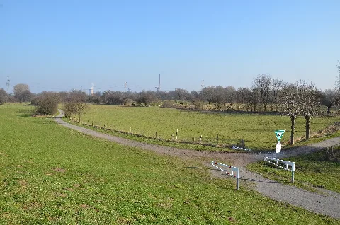 Nsg Rheinaue Friemersheim 04