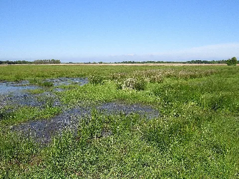 Nsg Ringstedter See