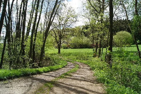 Nsg Rödersche Ds