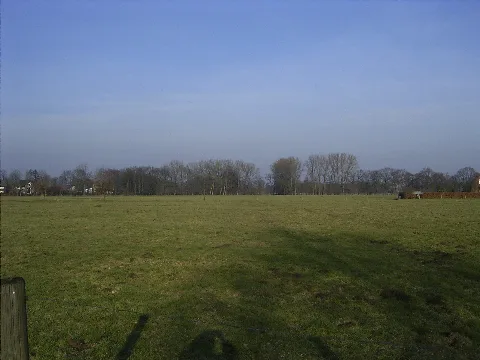 Nsg Schellenwiese001