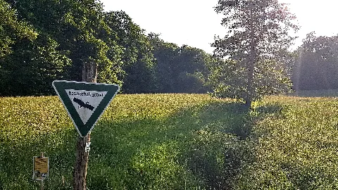 Nsg Seifenwiesen Luchsee 20240513 184306
