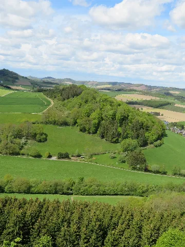 Nsg Seltenberg