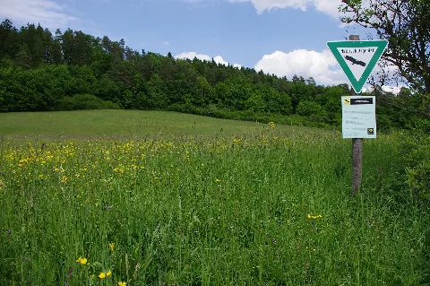 Nsg Vordere Hohbachwiesen 2012 Pic2