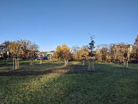 Nsu Memorial 1 (Aka)