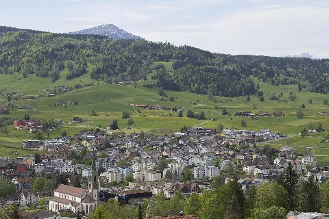 Oberägeri Panoramio (11)