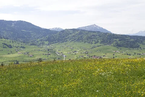 Oberägeri Panoramio (17)