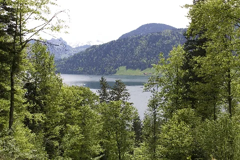 Oberägeri Panoramio (26)