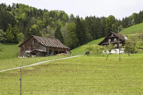Oberägeri Panoramio (31)