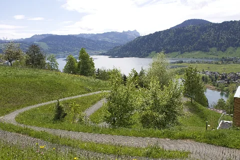 Oberägeri Panoramio (8)