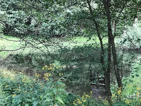 Oberer Engelsburger Teich 0