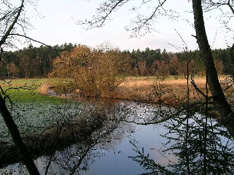 Örtzehermbg