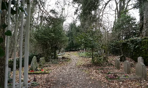 Oldcemeteryofceligny Romandeckert22122021 03