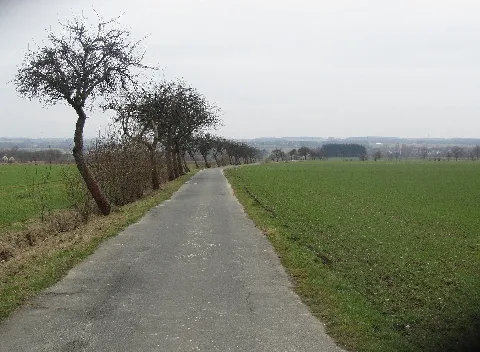 Kampstraße