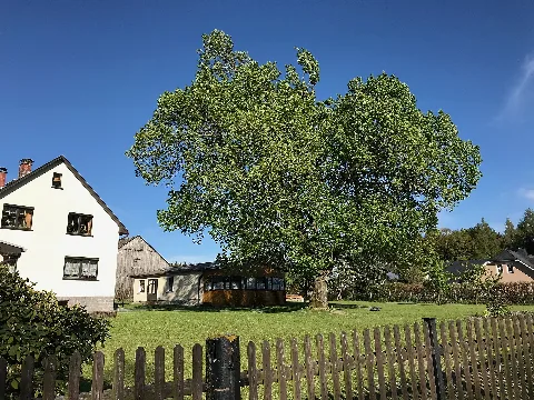 Ortsteil Buch 04