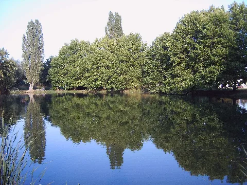 Ottersleber Teich