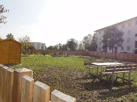 Otto Loewi Straße, Wels