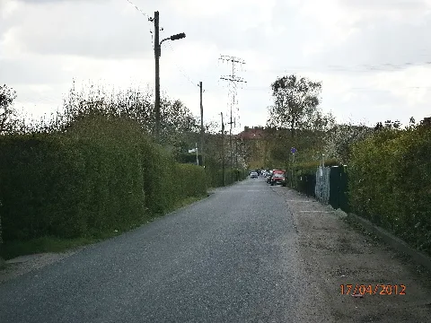 P4170110 Str49