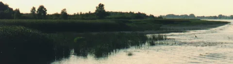 Pagensand1997 Panorama