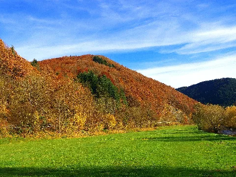 Painted Hill Panoramio