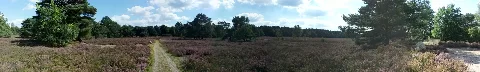 Panoramaaufnahme: Naturschutzgebiet „Lüneburger Heide“ bei Bispingen-Behringen im Landkreis Heidekreis (Niedersachsen). Das Bild entstand ca. 250 Meter entfernt vom Rastplatz Zur schönen Aussicht/Parkplatz Behringer Heide an der K51.
