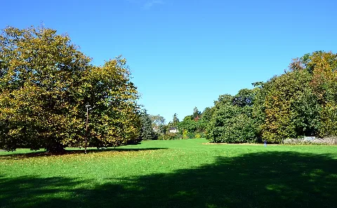 Parc Du Denantou 2