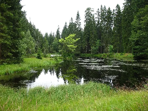Paschenweiher