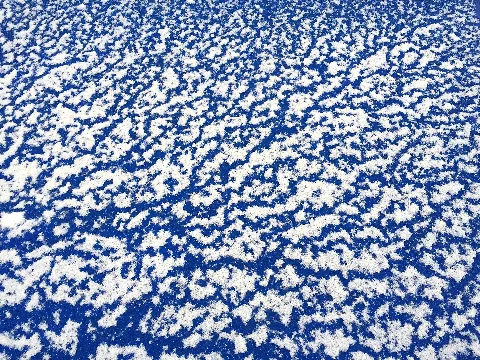 Pattern (16161155700)