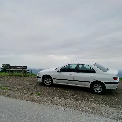 Peugeot 406 In Landscape