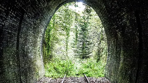 Pfälzer Wald Durch Tunnelportal