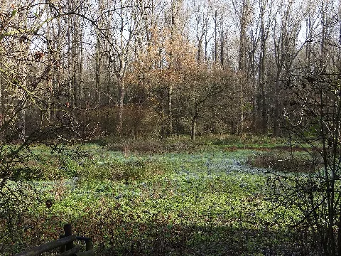 Pferdsbroich Grünland
